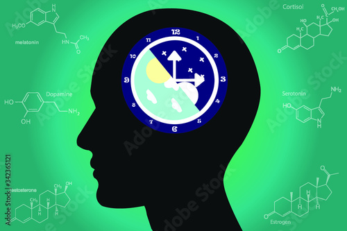 The circadian rhythms are controlled by circadian clocks or biological clock these clocks tell our brain when to sleep, tell our gut when to digest and control our activity in several day.