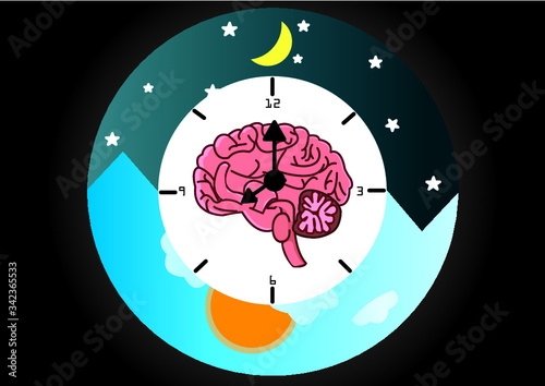 The circadian rhythms are controlled by circadian clocks or biological clock these clocks tell our brain when to sleep, tell our gut when to digest and control our activity in several day.