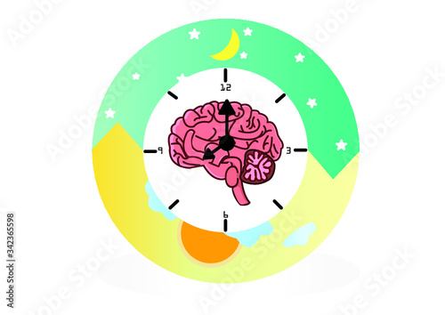The circadian rhythms are controlled by circadian clocks or biological clock these clocks tell our brain when to sleep, tell our gut when to digest and control our activity in several day.