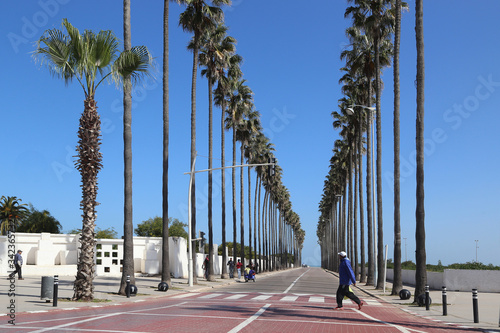 El Jadida, Morocco - 02.28.2019: Alley with palm trees near the Portuguese fortress.