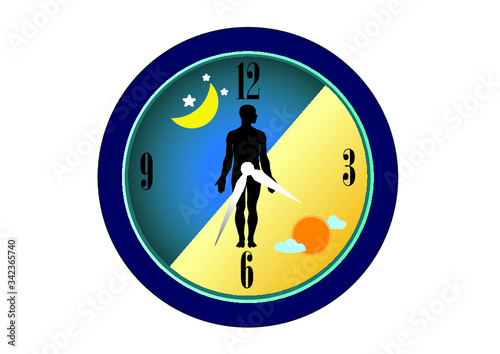 The circadian rhythms are controlled by circadian clocks or biological clock these clocks tell our brain when to sleep, tell our gut when to digest and control our activity in several day.