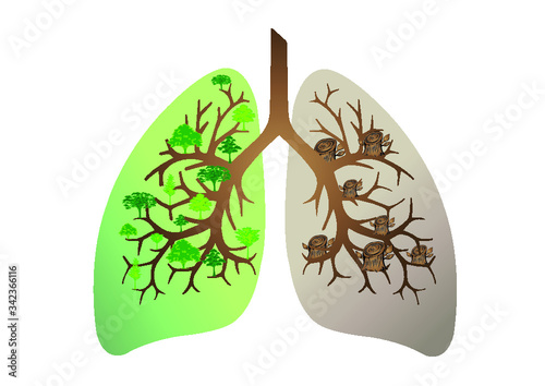 Deforestation effect. green lung with abnormal lung vector