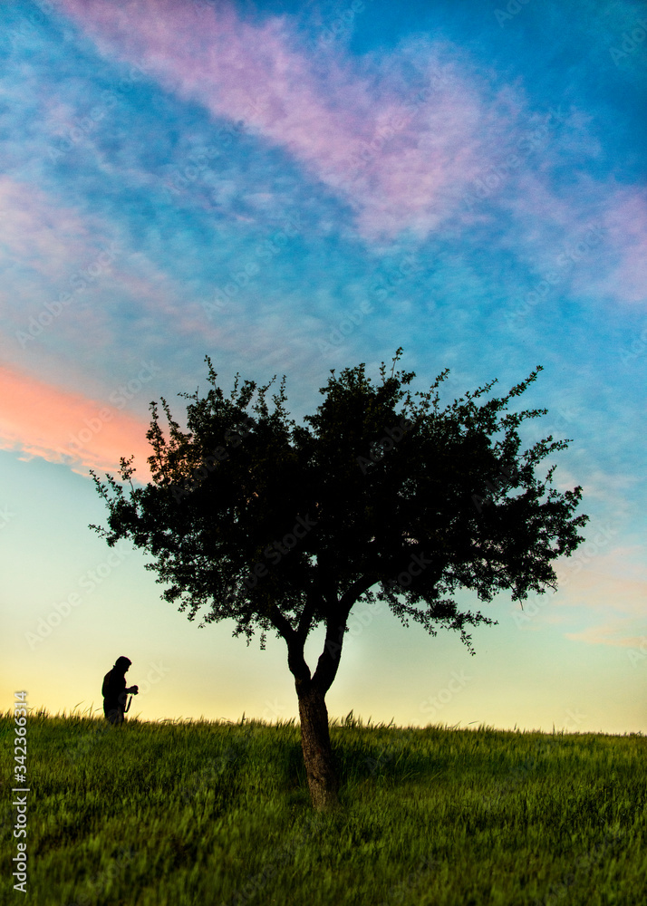 man walking through a field of wheat. nature, color sky, sunset. man walking through a field of wheat. nature, color sky, sunset.