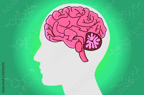 The circadian rhythms are controlled by circadian clocks or biological clock these clocks tell our brain when to sleep, tell our gut when to digest and control our activity in several day.