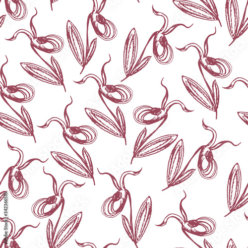 Vector doodle flower sketch taiga orchid venus slipper seamless pattern. Black outline illustration, drawing isolated on a white background, drawn by hand.