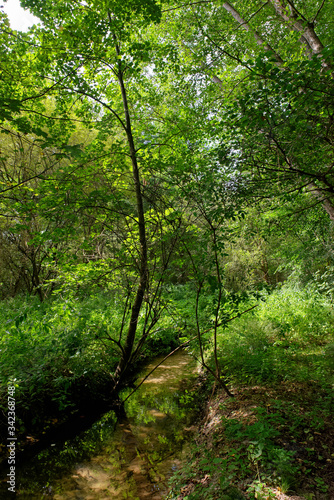 Ru des Vaux  river in the  Chevreuse valley regional nature park © hassan bensliman