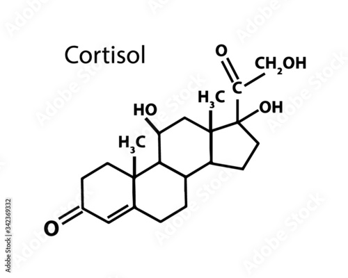 cortisol hormone structure illustration 
