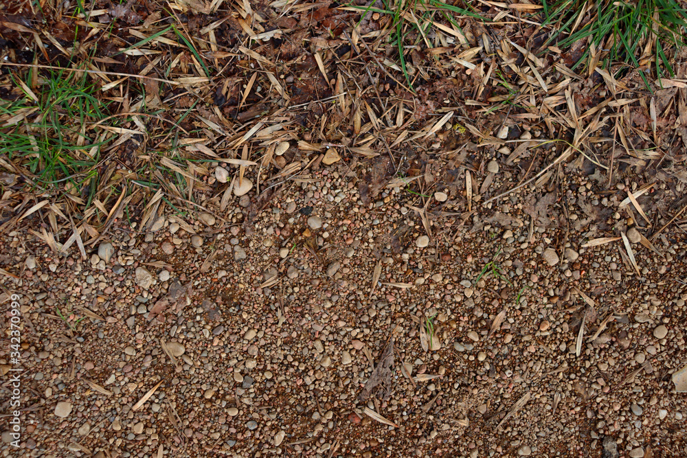 Green grass sand and small stones. Background of green grass, small stones and sand. Green grass sand and small stones. Background of green grass, small stones and sand.