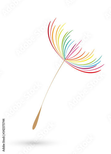 bunter und filigraner Löwenzahn Samen (Pusteblume)