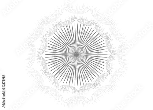 sehr filigranes Mandala aus Pusteblumen Samen