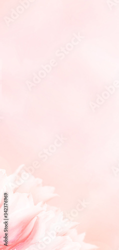 Wedding invitation menu card, pink tulips, standart size 10. Greeting or invite card, elegant clear design template, light blur background.