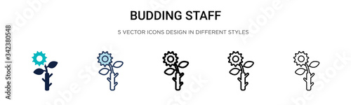 Budding staff icon in filled, thin line, outline and stroke style. Vector illustration of two colored and black budding staff vector icons designs can be used for mobile, ui, web