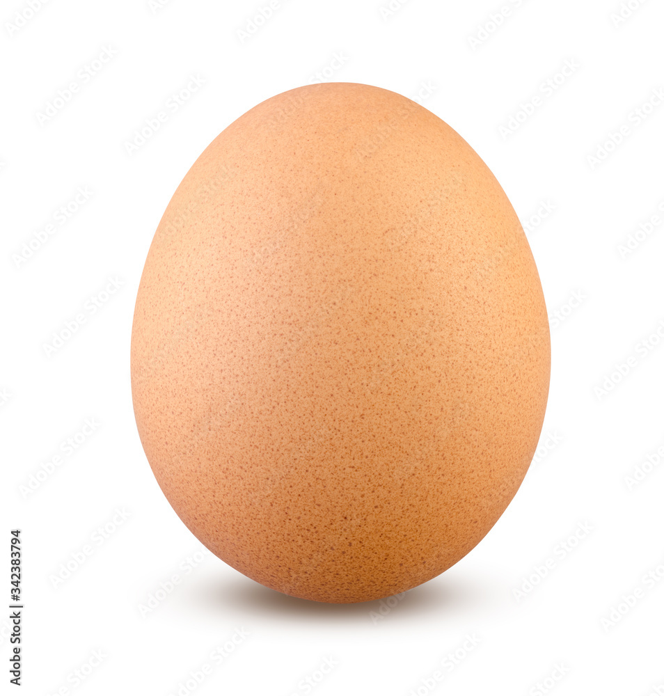 Egg Isolated. Boiled or Fresh Chicken Egg Vertical on White Background Close Up Egg Isolated. Boiled or Fresh Chicken Egg Vertical on White Background Close Up