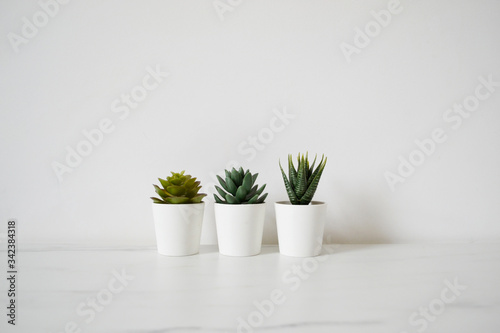 3 Small Flower Pots On White Ground