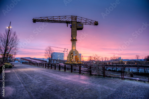 grue jaune de Nantes au lever du soleil en hiver