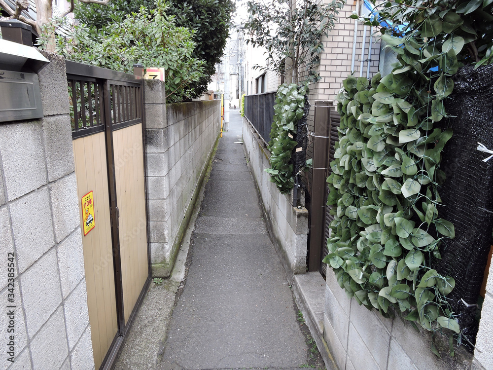 路地の風景 路地の風景