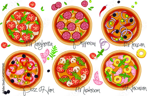 Set of pizzas with various fillings. Vector illustration.