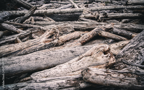 Driftwood pile at the pacific ocean coast