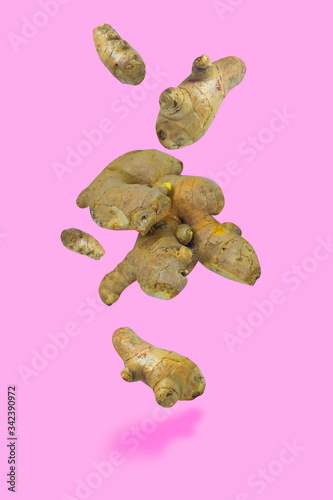 Fresh healthy ginger rhizomes isolated floating in the air, photomontage on pink background. Light, fun, bubbly, comic.