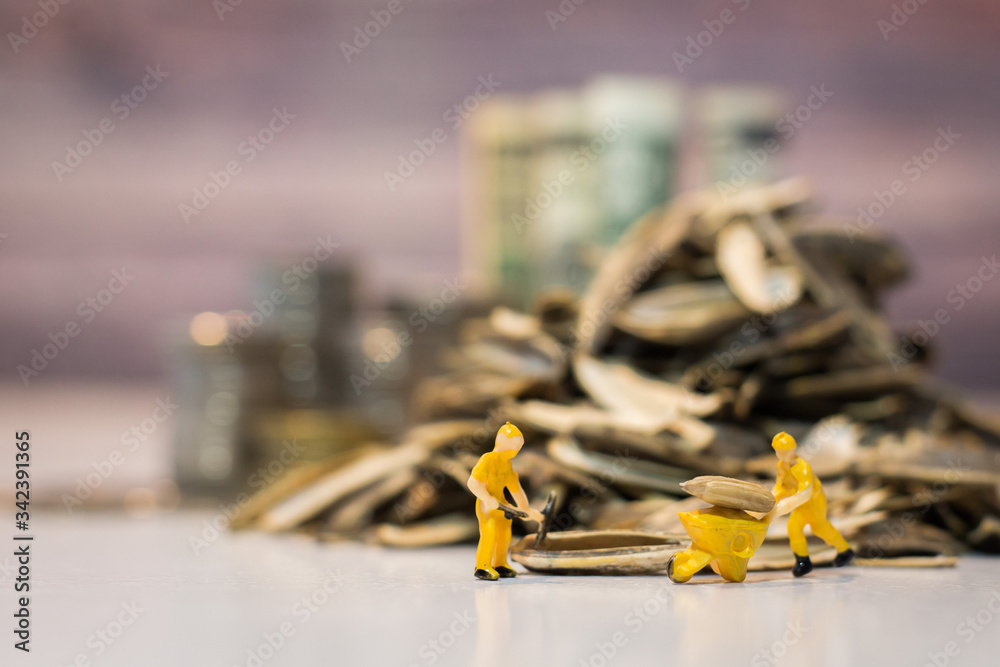Miniature people : Workers work on the sunflower seed production process. (Sunflower seed business concept) Miniature people : Workers work on the sunflower seed production process. (Sunflower seed business concept)
