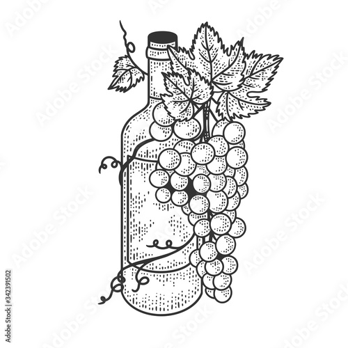 Wine bottle and grapes sketch engraving vector illustration. T-shirt apparel print design. Scratch board imitation. Black and white hand drawn image.