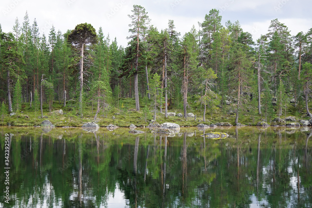 Lake in the forest, reflections of trees on the water, Lapland, Finland. 