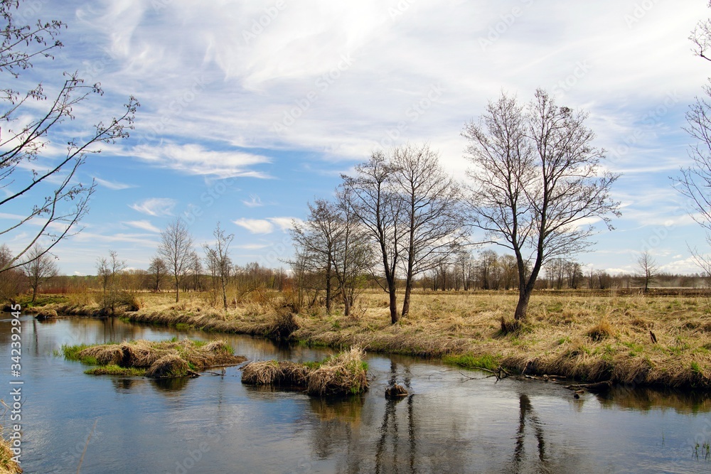 Landscape. Spring. Bright sky in april. Trees and shrubs and first leaves. Sunlight and day. Small river.