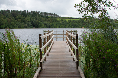 Wooden bridge facing the lake in a green scenery
