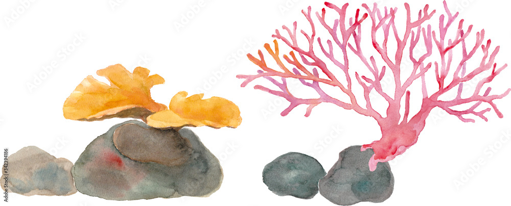 海のサンゴ２種の水彩イラスト トレースベクター Stock Vector Adobe Stock