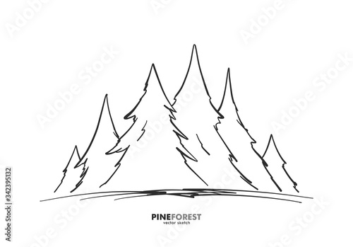 Vector Hand drawn sketch pine forest. Christmas banner or poster template.