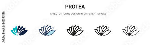 Protea icon in filled, thin line, outline and stroke style. Vector illustration of two colored and black protea vector icons designs can be used for mobile, ui, web