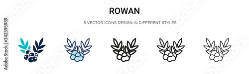 Rowan icon in filled, thin line, outline and stroke style. Vector illustration of two colored and black rowan vector icons designs can be used for mobile, ui, web