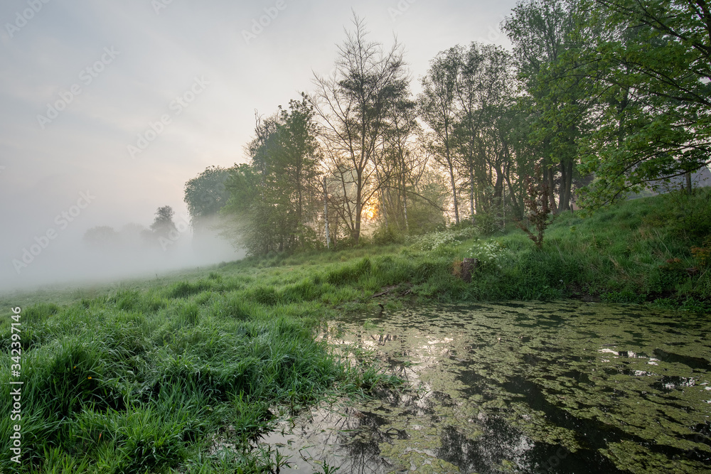 Mistige zonsopkomst aan de Leiemeersen in Lauwe - Menen. Mistige zonsopkomst aan de Leiemeersen in Lauwe - Menen.