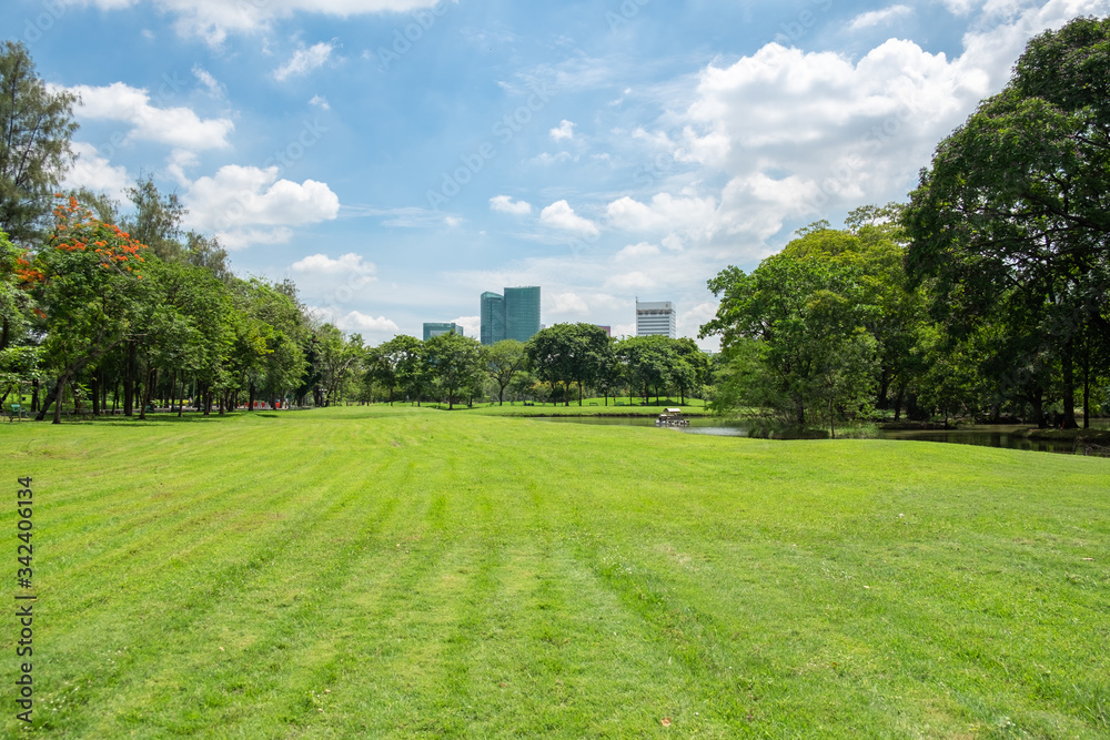 City public park bangkok thailand. Big trees in the park and green grass.