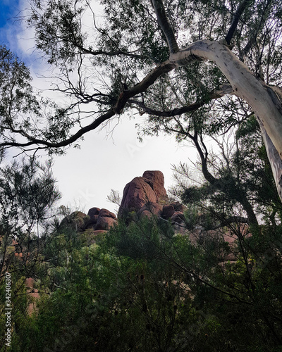 Freycinet National Park, Tasmania, Australia