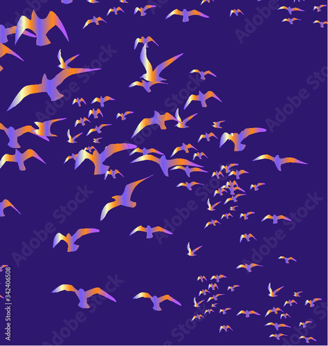flock of birds graphic design vector art