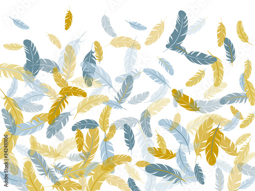 Falling feather elements soft vector design.