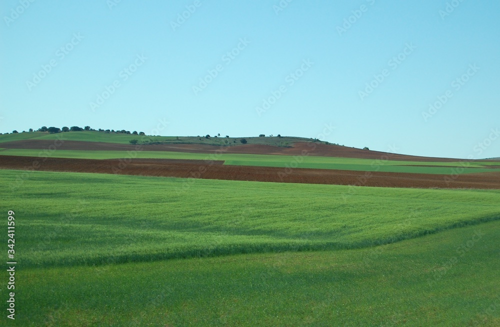 Paisaje de campo verde y cielo azul, panorama de una ladera Paisaje de campo verde y cielo azul, panorama de una ladera