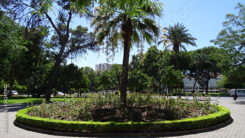 Cordova is a beautiful city in Andalusia, Spain