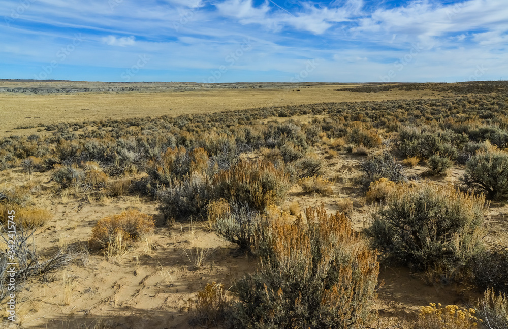 Desert landscape with dry plants in Ah-Shi-Sle-Pah Wilderness Study Area in San Juan County near the city of Farmington, New Mexico.