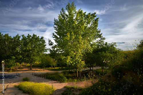 paraje del ca  o