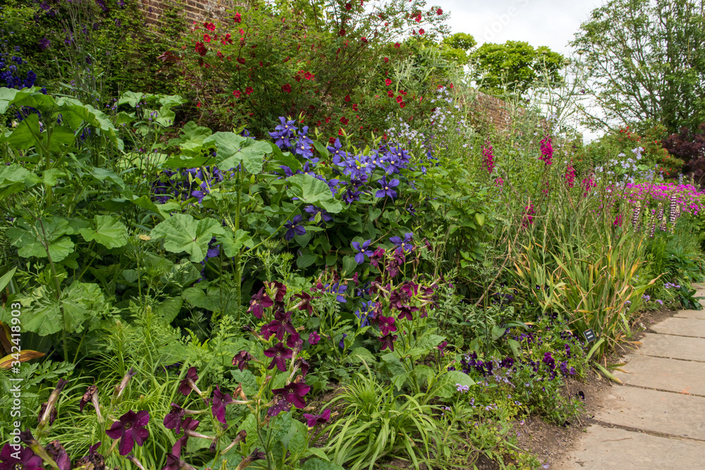 gemischtes buntes Blumenbeet mit Gartenweg und Mauer