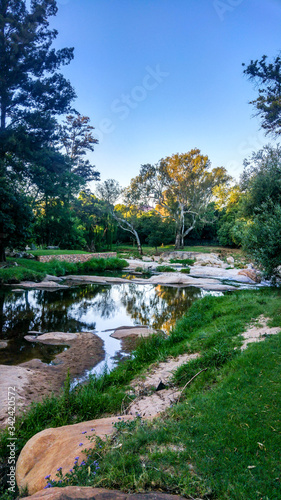 Scenic green landscape and river, Johannesburg, South Africa