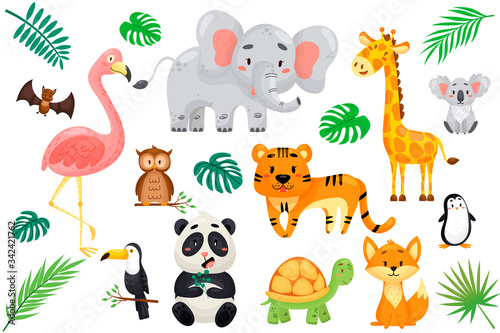 Fototapeta Naklejka Na Ścianę i Meble -  vector set of wild exotic animals in cartoon style. Flamingo, owl, bet, koala, toucan, fox, panda, tiger, giraffe, penguin on white isolated background.