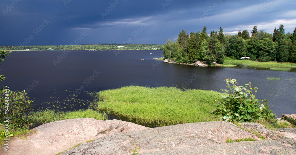 The river Bank and tall grass are illuminated by the sun. Black clouds over a pond on a summer day. On the Bank of a large river before a thunderstorm. It's going to start raining hard soon.