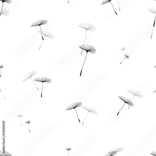 Vector seamless pattern. Dandelion isolated on a white background. Vector graphics.
