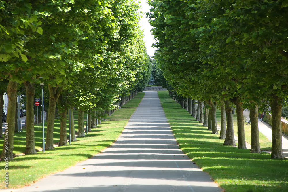 Cours Dajot public garden with avenues lined with elm trees, knee-high box hedges and lawns. The park took shape in 1769 and was built with labour from the port’s penal colony. Best, Brittany, France.