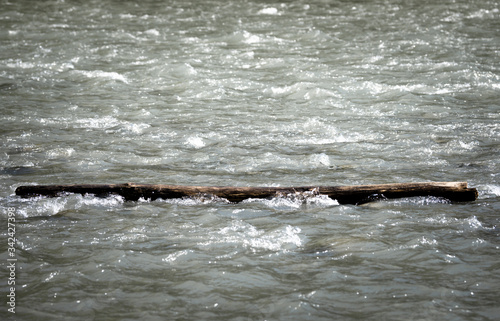 A tree is floating in a mountain river.