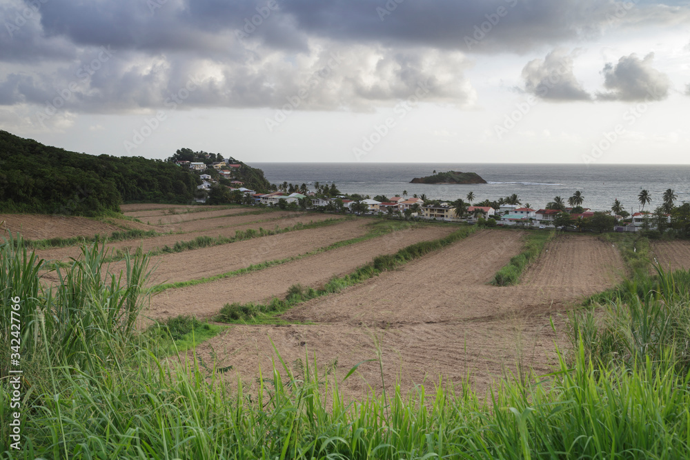 Φωτογραφία The Presqu'Ile de la Caravelle on the island of Martinique.