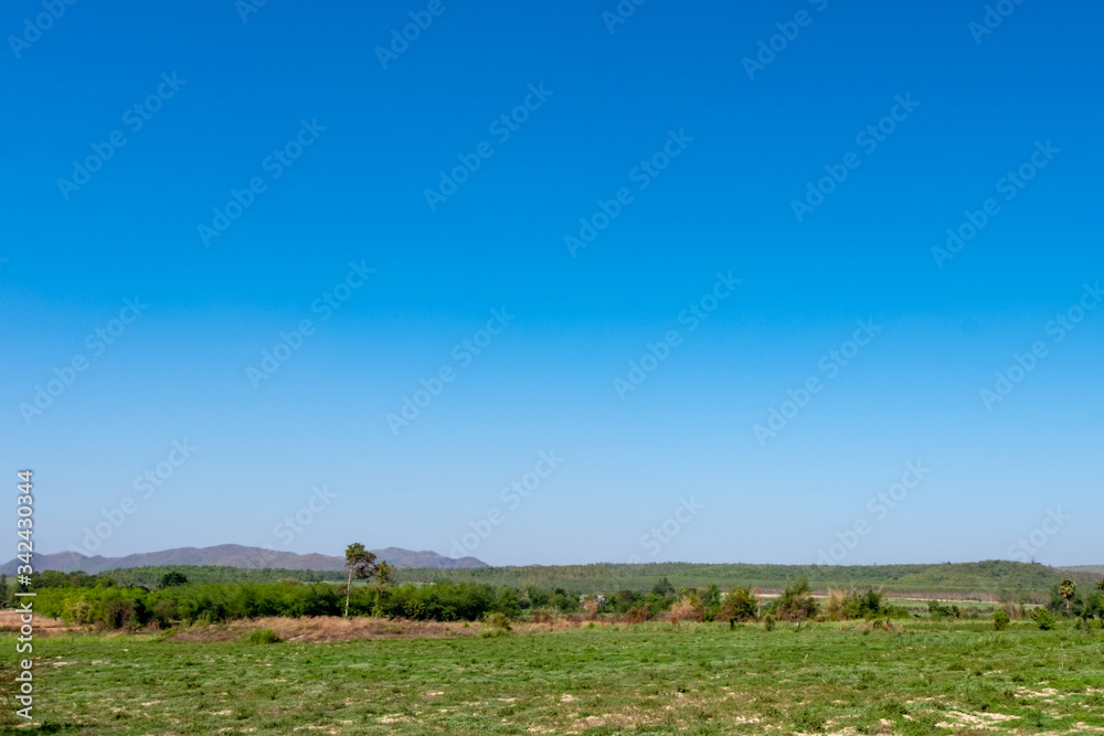 Green grassland with blue sky, beautiful nature, sky and grass background Suitable for seasonal use. Sky meadow Text area